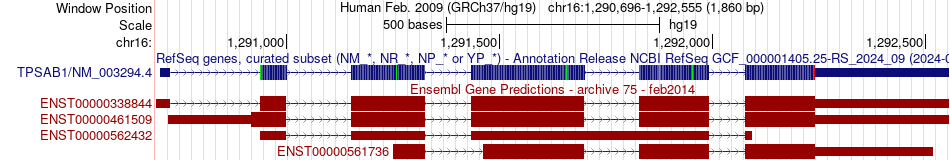 gene isoform structure of TPSAB1