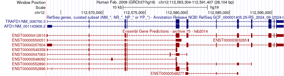 gene isoform structure of TRAFD1