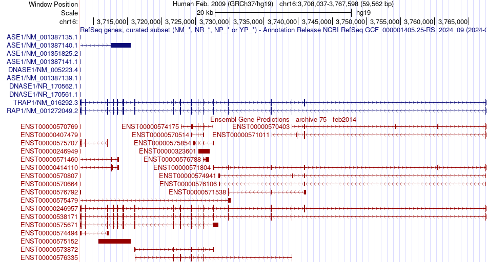 gene isoform structure of TRAP1