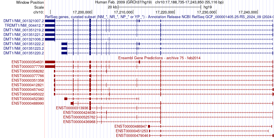 gene isoform structure of TRDMT1