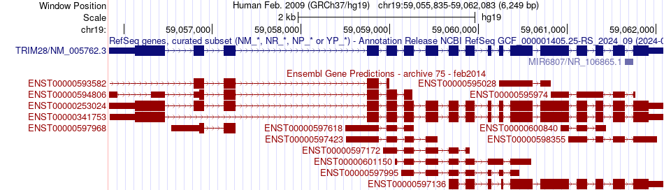 gene isoform structure of TRIM28