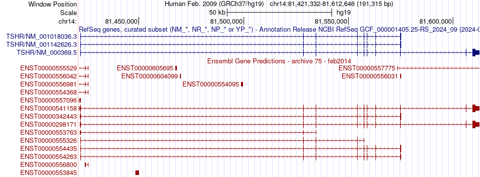 gene isoform structure of TSHR