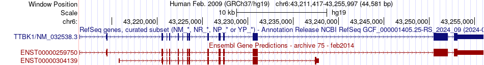 gene isoform structure of TTBK1