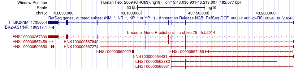 gene isoform structure of TTBK2