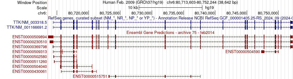gene isoform structure of TTK