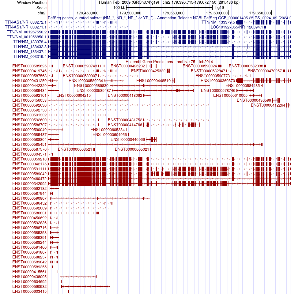 gene isoform structure of TTN