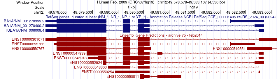 gene isoform structure of TUBA1A