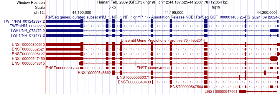 gene isoform structure of TWF1