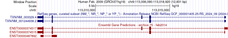 gene isoform structure of TXN