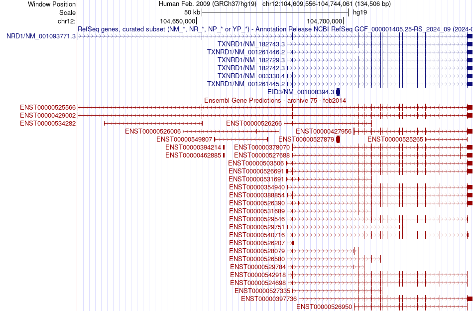 gene isoform structure of TXNRD1