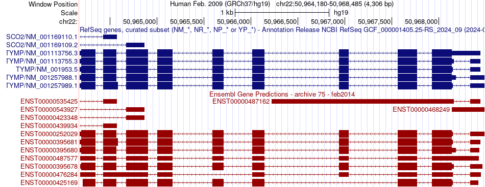 gene isoform structure of TYMP