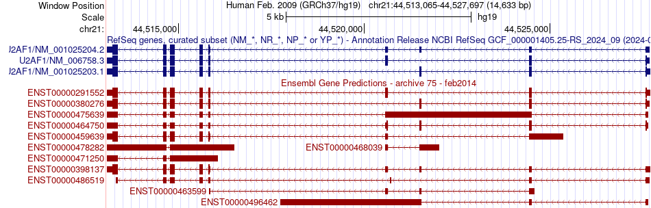 gene isoform structure of U2AF1