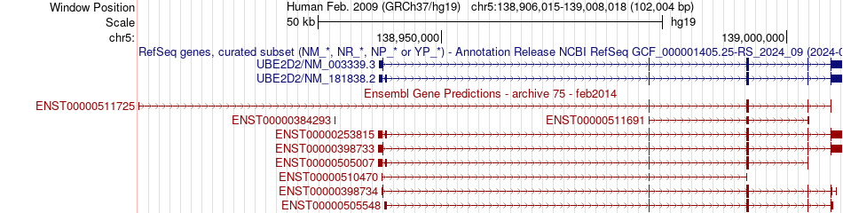 gene isoform structure of UBE2D2
