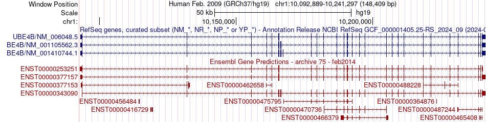 gene isoform structure of UBE4B