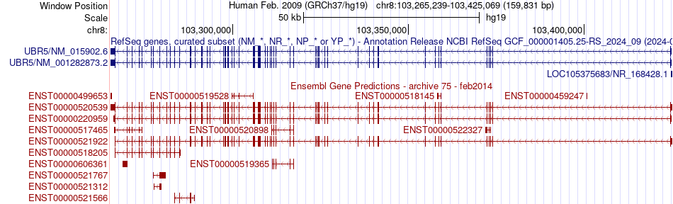 gene isoform structure of UBR5