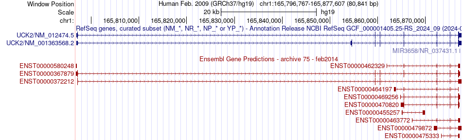 gene isoform structure of UCK2