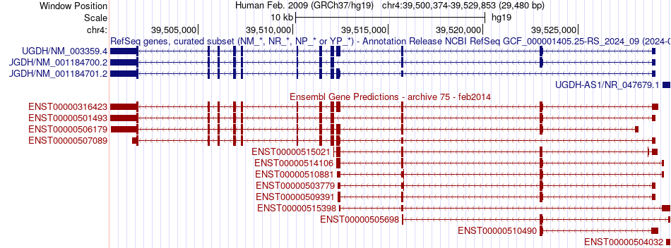 gene isoform structure of UGDH