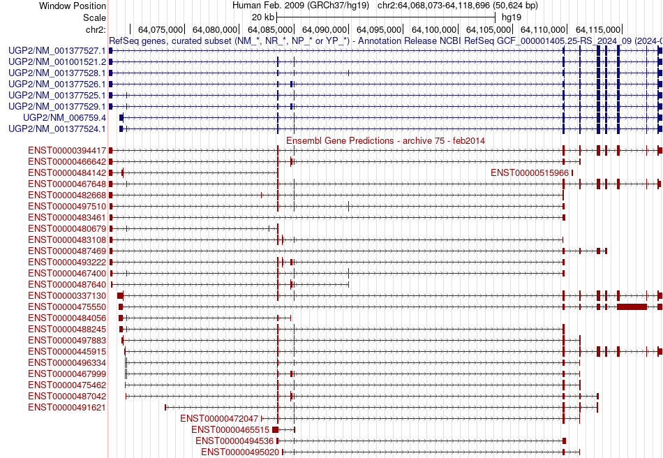 gene isoform structure of UGP2