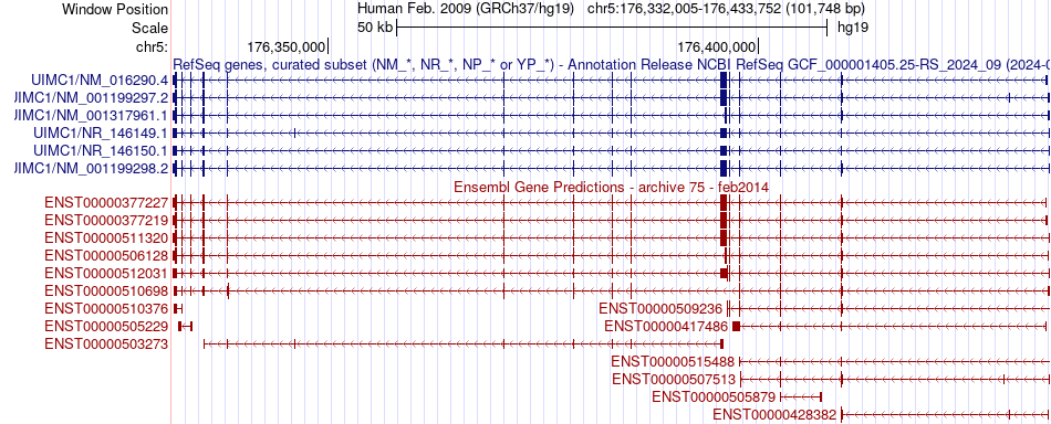 gene isoform structure of UIMC1