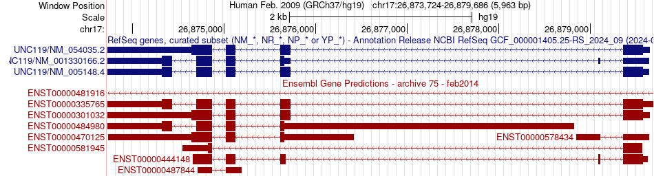 gene isoform structure of UNC119