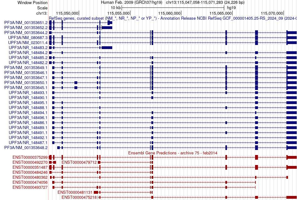 gene isoform structure of UPF3A