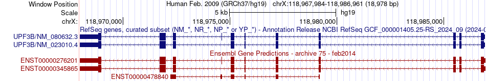 gene isoform structure of UPF3B