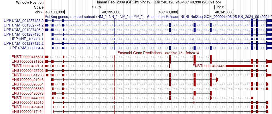 gene isoform structure of UPP1