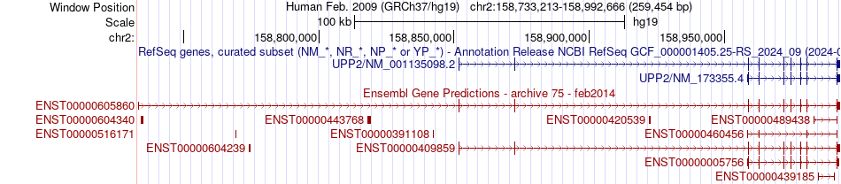 gene isoform structure of UPP2