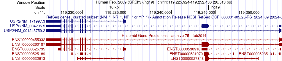 gene isoform structure of USP2