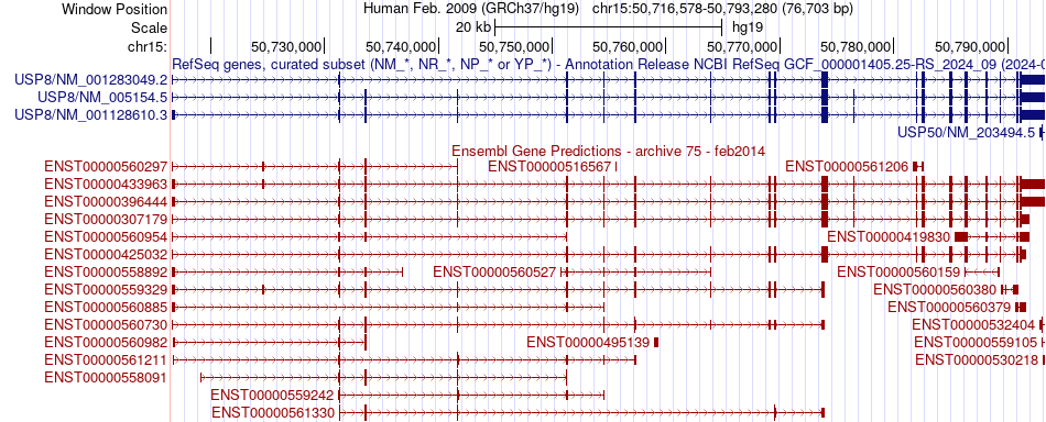 gene isoform structure of USP8