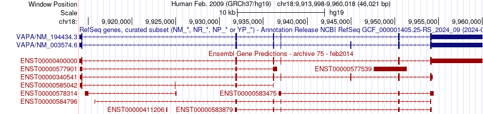 gene isoform structure of VAPA