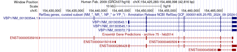 gene isoform structure of VBP1