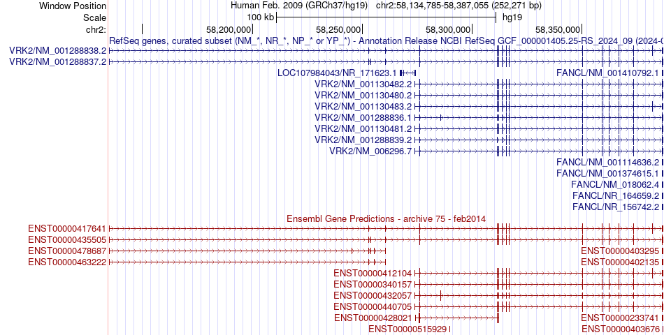 gene isoform structure of VRK2