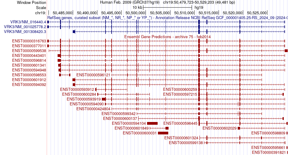 gene isoform structure of VRK3