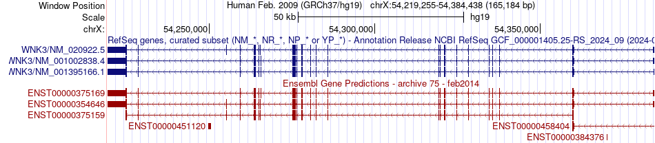 gene isoform structure of WNK3