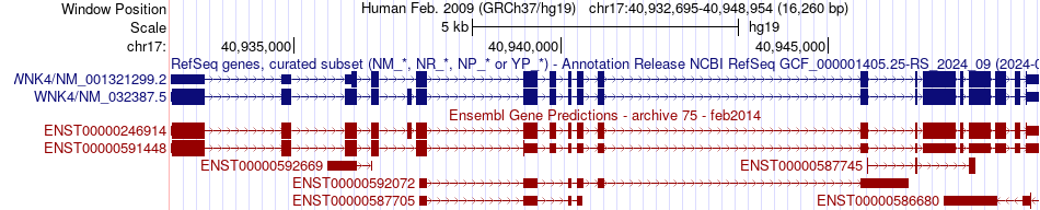 gene isoform structure of WNK4