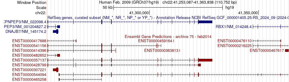 gene isoform structure of XPNPEP3