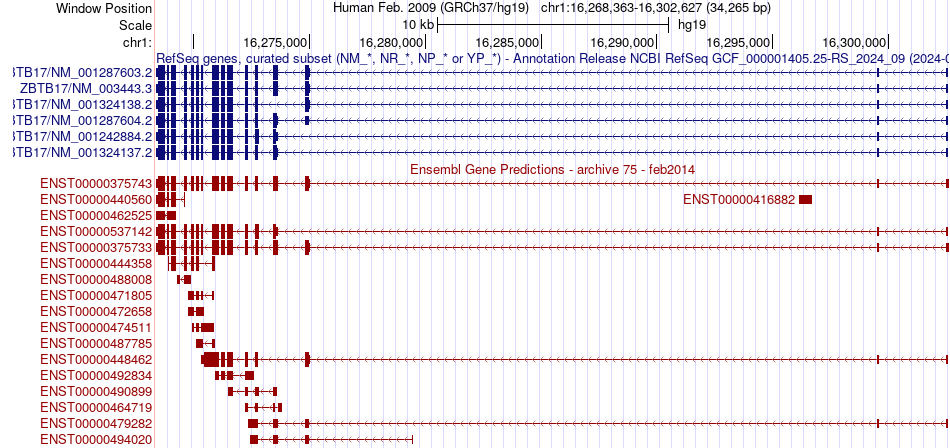 gene isoform structure of ZBTB17
