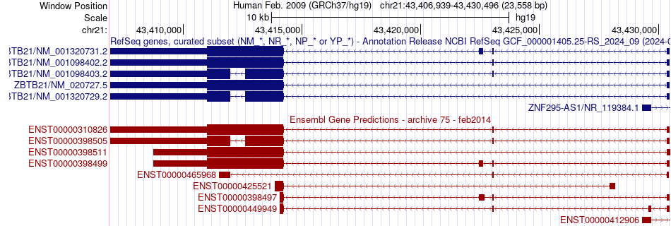 gene isoform structure of ZBTB21
