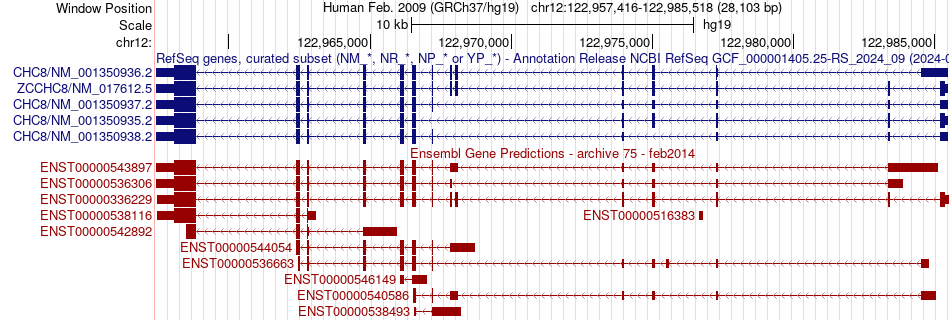 gene isoform structure of ZCCHC8