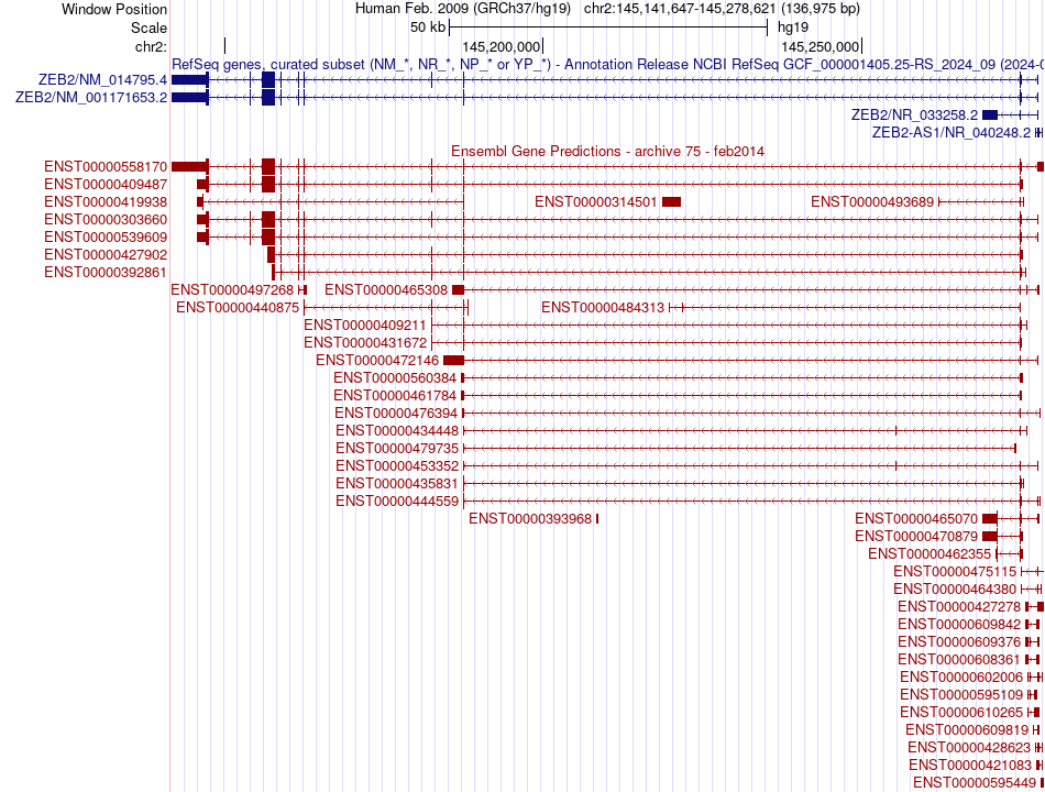 gene isoform structure of ZEB2