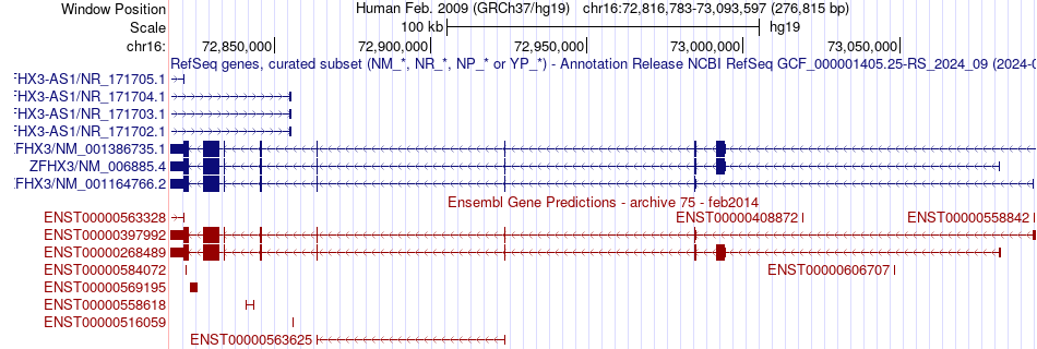 gene isoform structure of ZFHX3