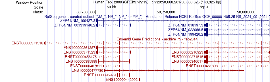 gene isoform structure of ZFP64