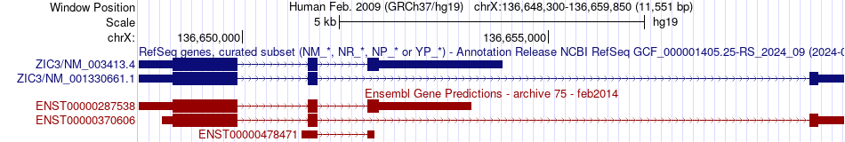 gene isoform structure of ZIC3