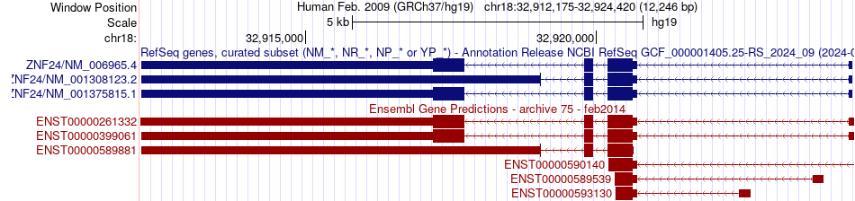 gene isoform structure of ZNF24
