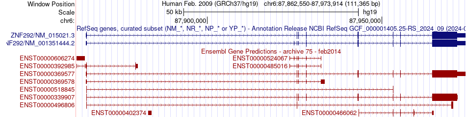 gene isoform structure of ZNF292