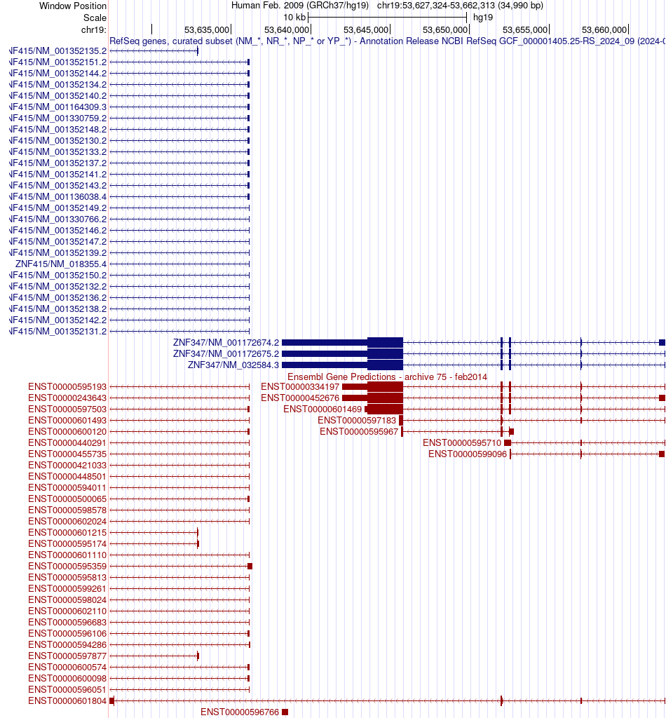 gene isoform structure of ZNF347