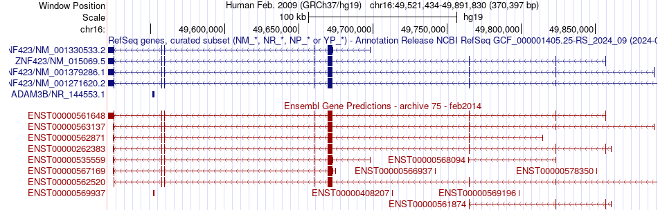 gene isoform structure of ZNF423