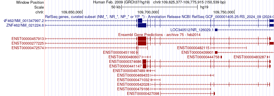 gene isoform structure of ZNF462