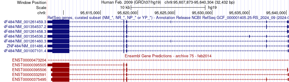 gene isoform structure of ZNF484
